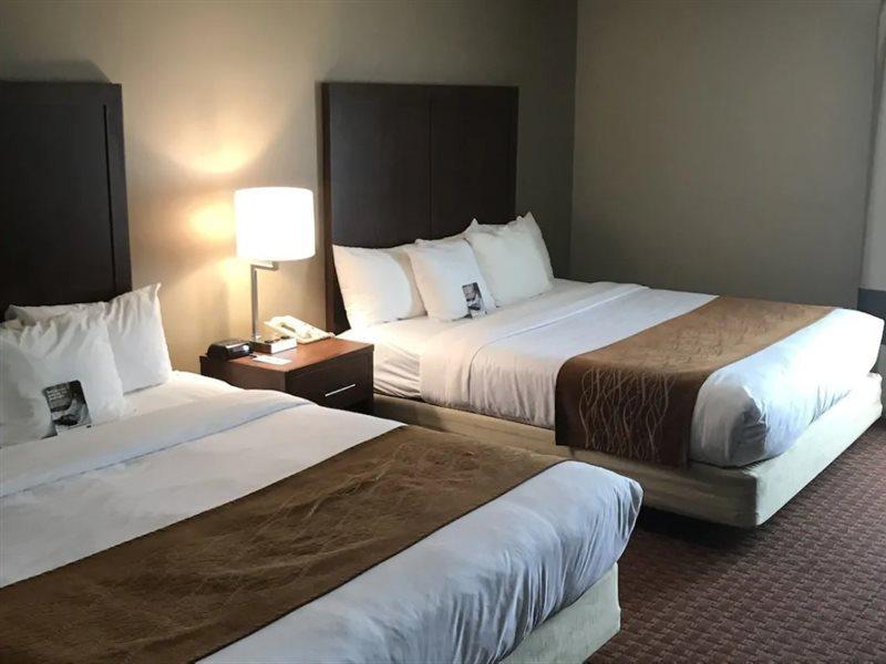 Comfort Inn Silicon Valley East Fremont Dış mekan fotoğraf