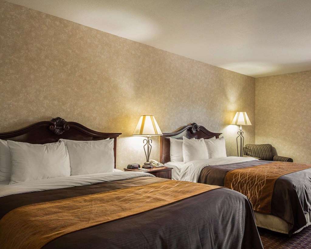 Comfort Inn Silicon Valley East Fremont Oda fotoğraf
