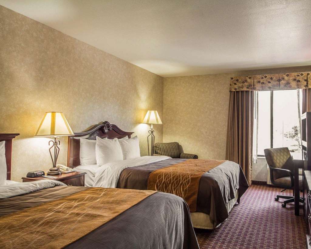 Comfort Inn Silicon Valley East Fremont Oda fotoğraf