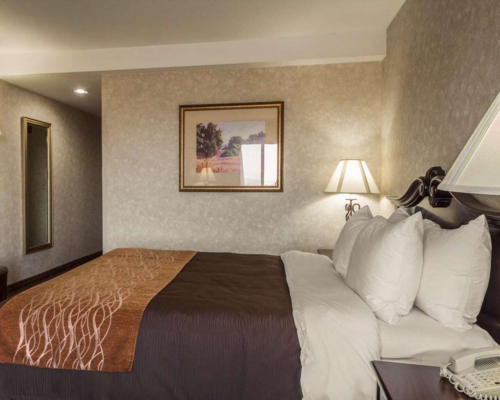 Comfort Inn Silicon Valley East Fremont Oda fotoğraf