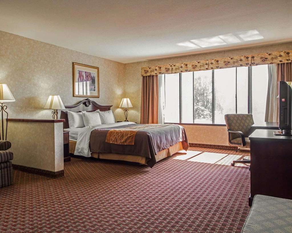 Comfort Inn Silicon Valley East Fremont Oda fotoğraf
