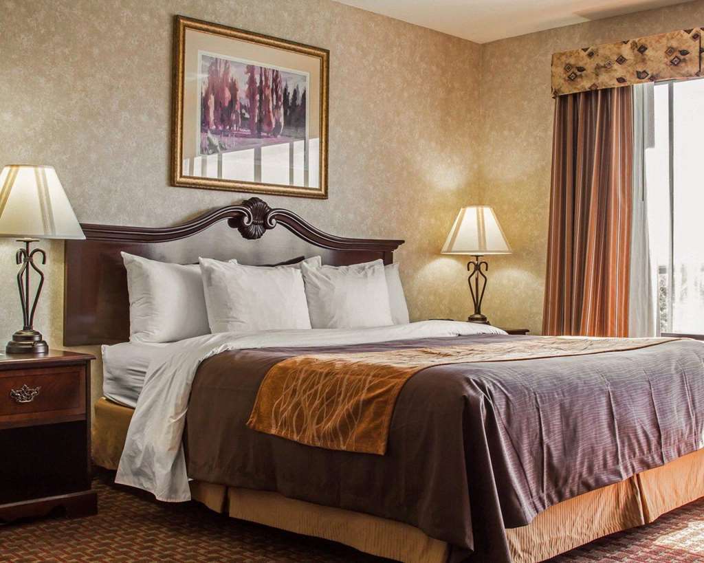 Comfort Inn Silicon Valley East Fremont Oda fotoğraf
