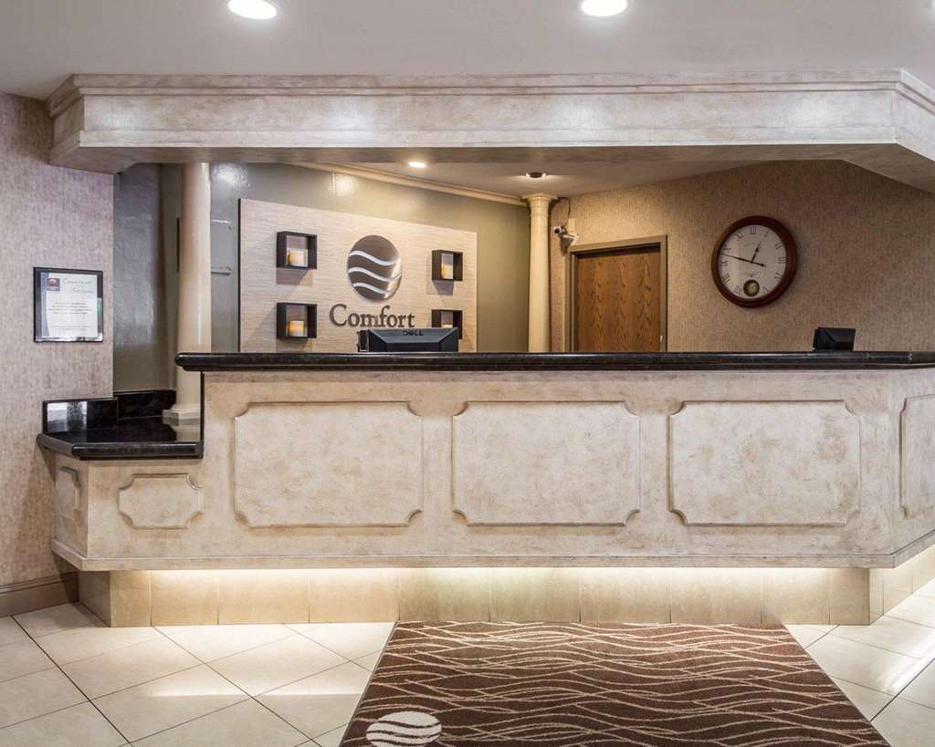 Comfort Inn Silicon Valley East Fremont İç mekan fotoğraf