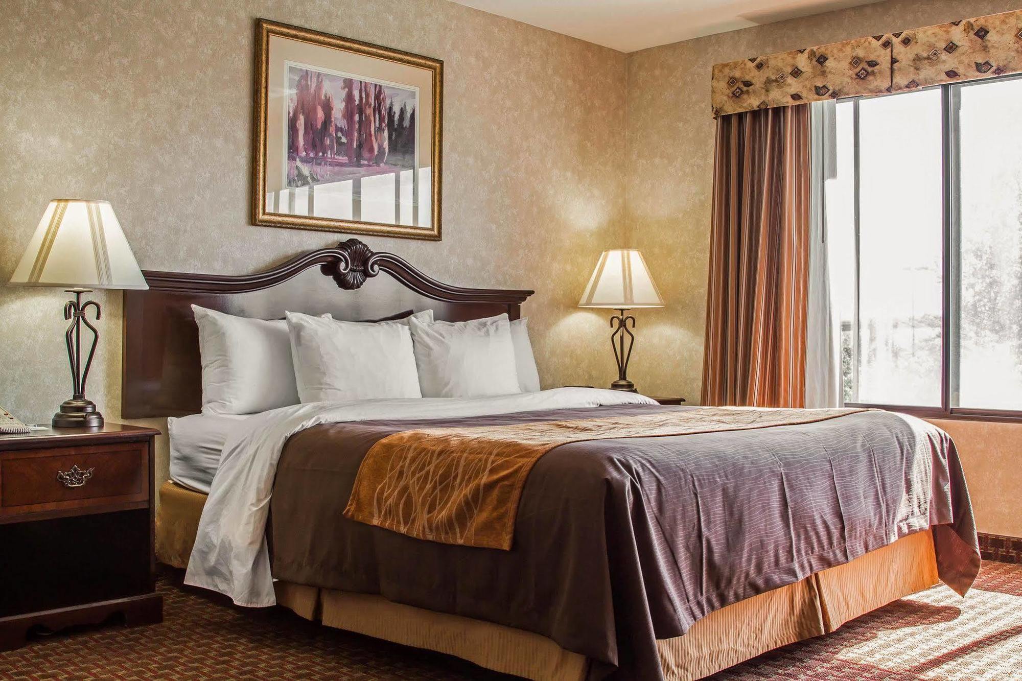 Comfort Inn Silicon Valley East Fremont Dış mekan fotoğraf